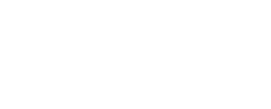 Schweizer Sporthilfe Logo